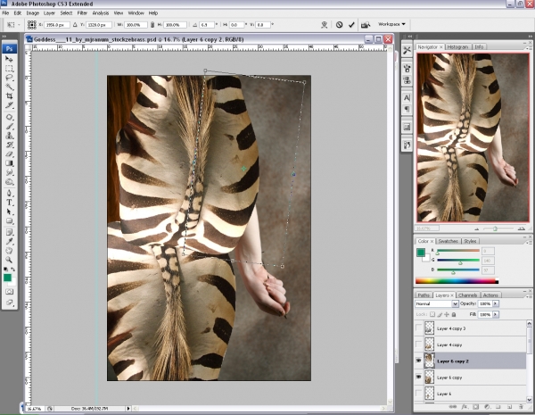 Creation of Stripped or striped?: Step 3